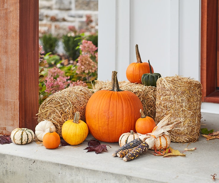 Pumpkins and hay bales on a porch