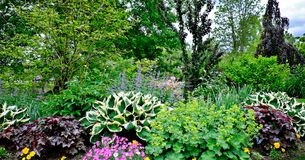 Outdoor and Garden: decks, furniture, gardening, snow shovels and much