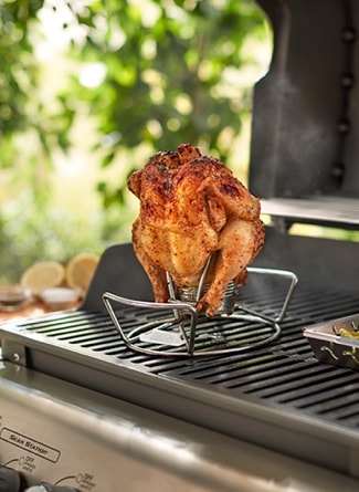 Weber bbq rona hotsell