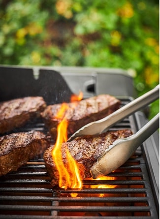 Weber bbq hotsell rona