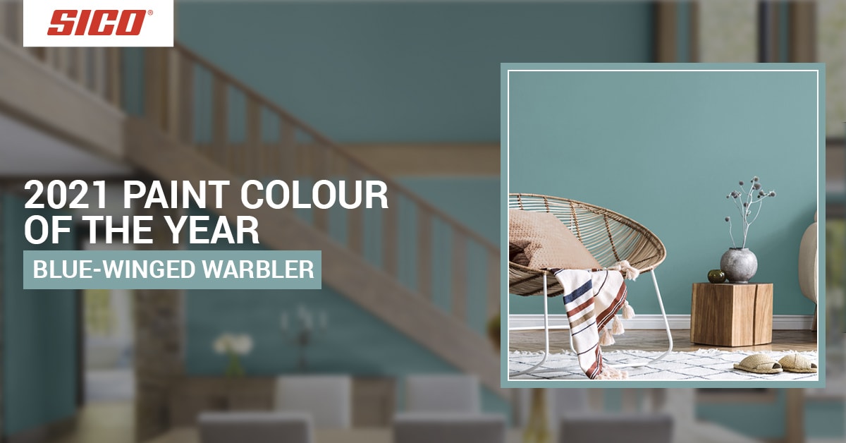 Sico sales paint colours