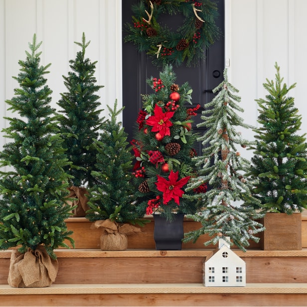 Christmas Live Goods