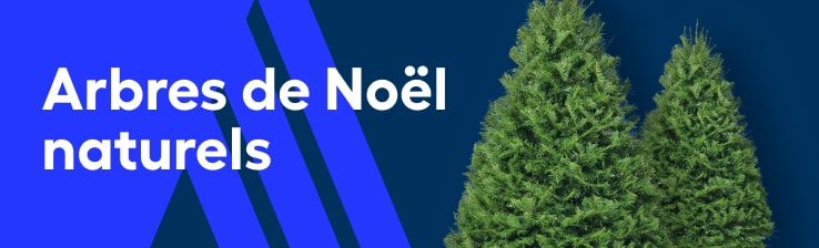 Arbres de Noël naturels