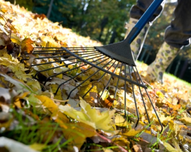 Gardening Tools