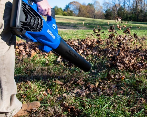 Leaf Blowers