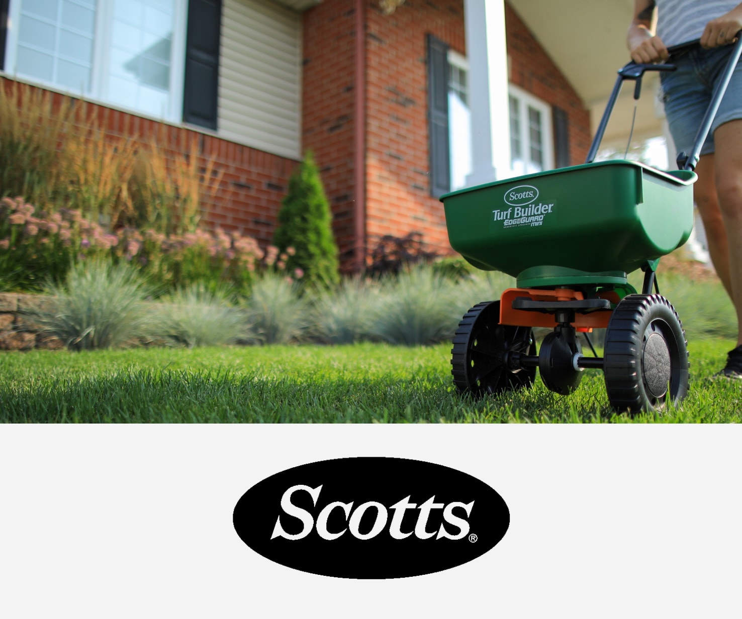 Marque Scotts