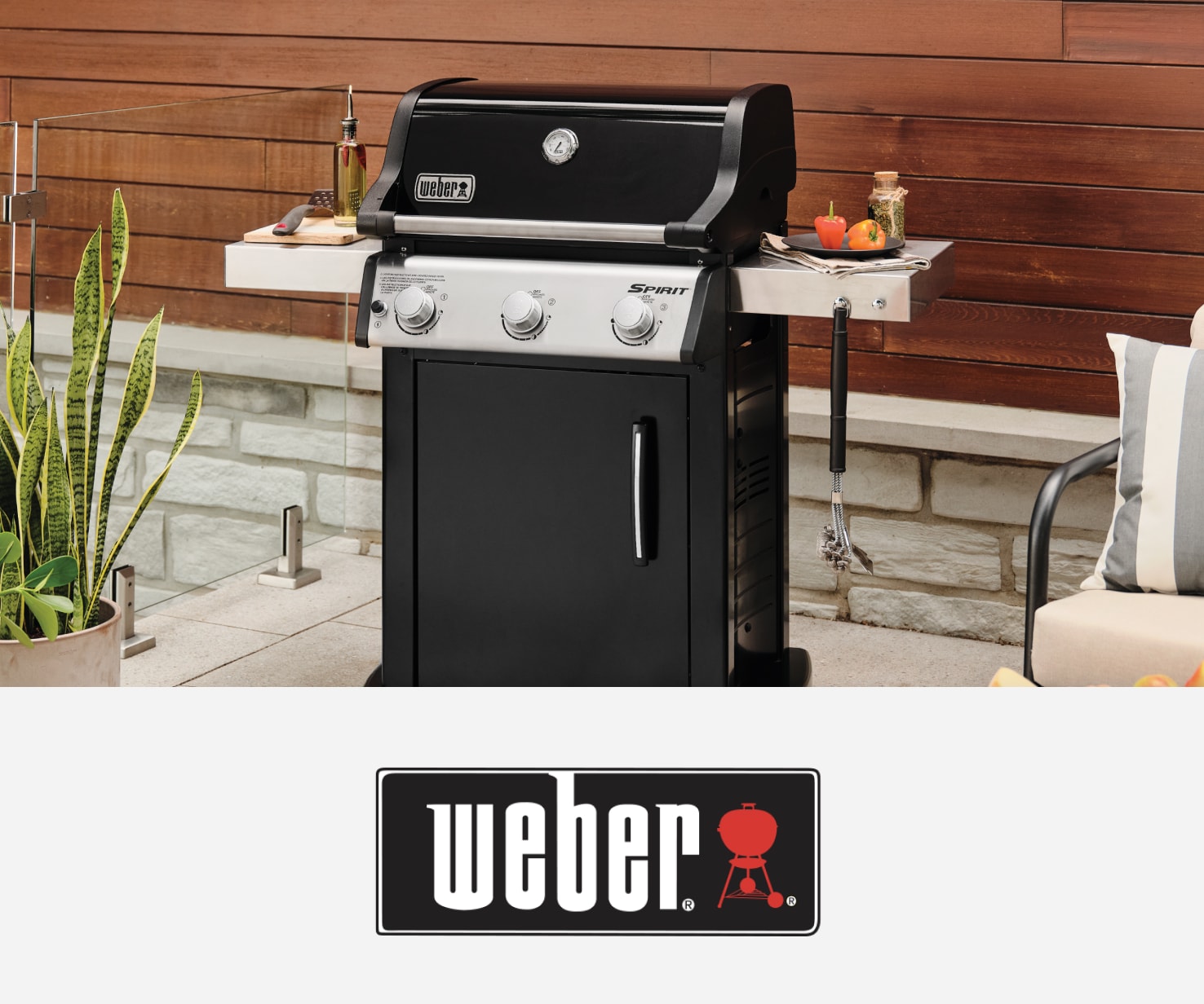 Marque Weber