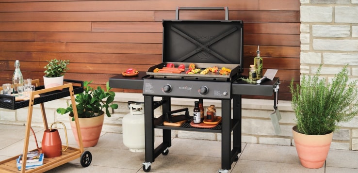 BBQs & Outdoor Cooking – Charcoal Grills, Smoke BBQs, Propane BBQs & More
