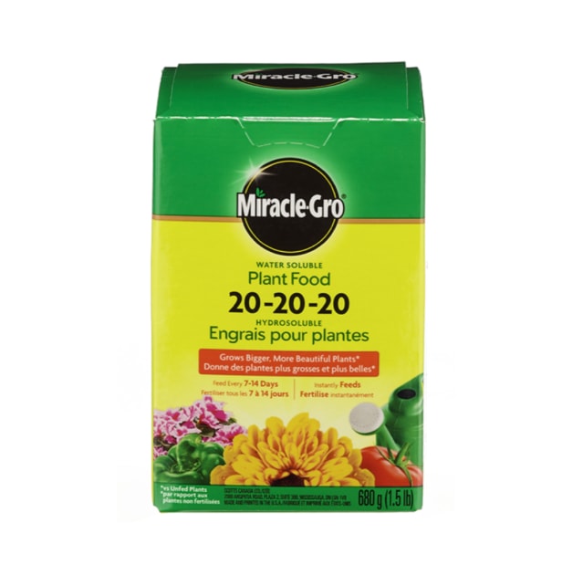 Plant Food
