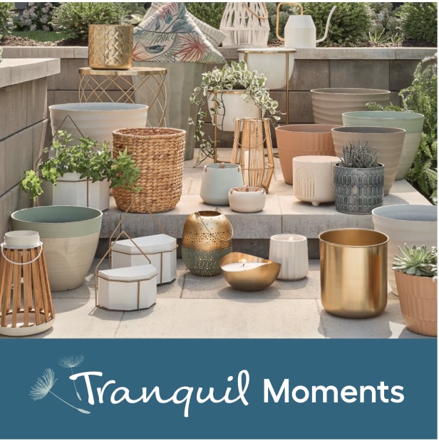 Tranquil Moments 