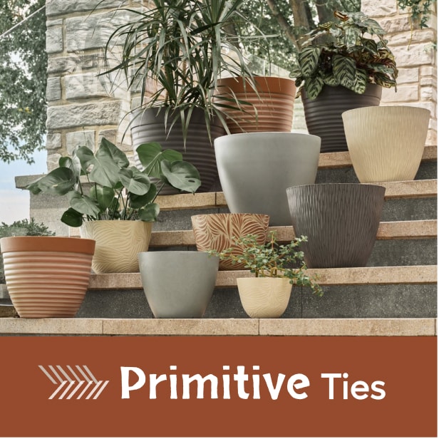 Primitive Ties