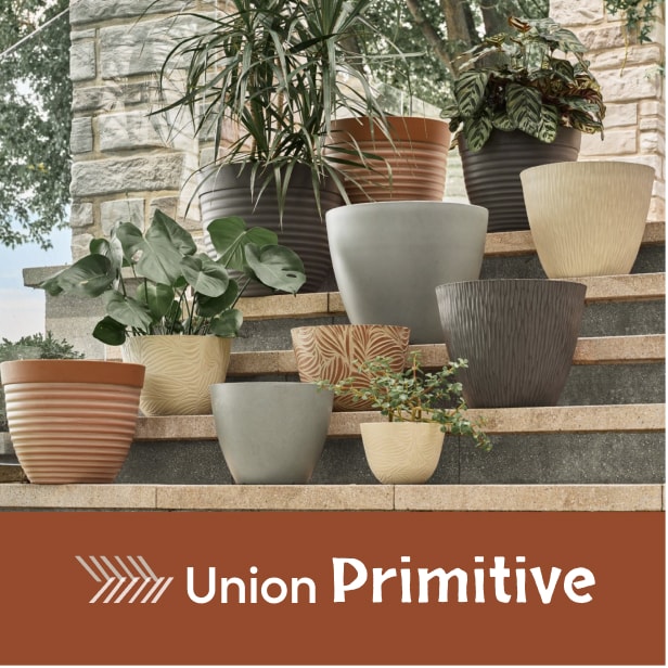 Union primitive