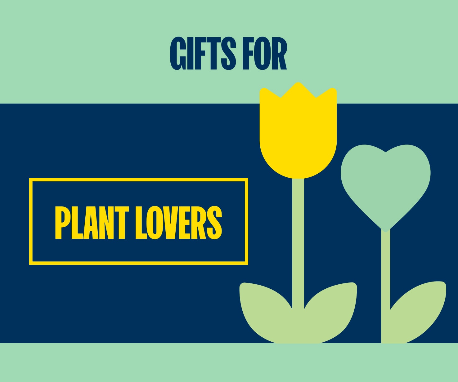 Gift Ideas Plants