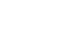 Vip Pro Logo