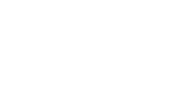 VIP PRO