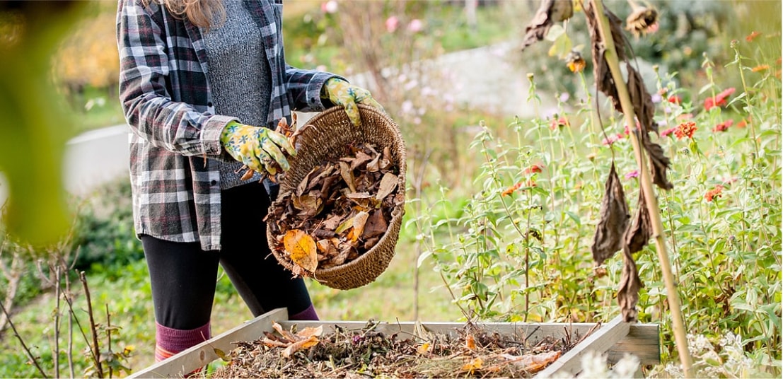 Fall Garden Care in 8 Simple Steps