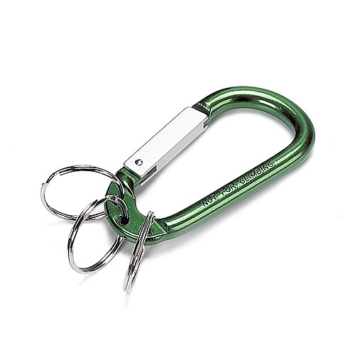 Spring Link