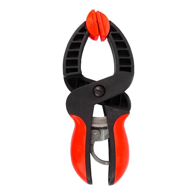 Ratcheting Clamp