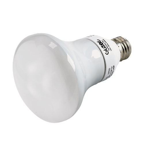 15-W CFL Lightbulb
