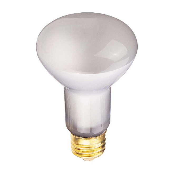 Ampoule 25W