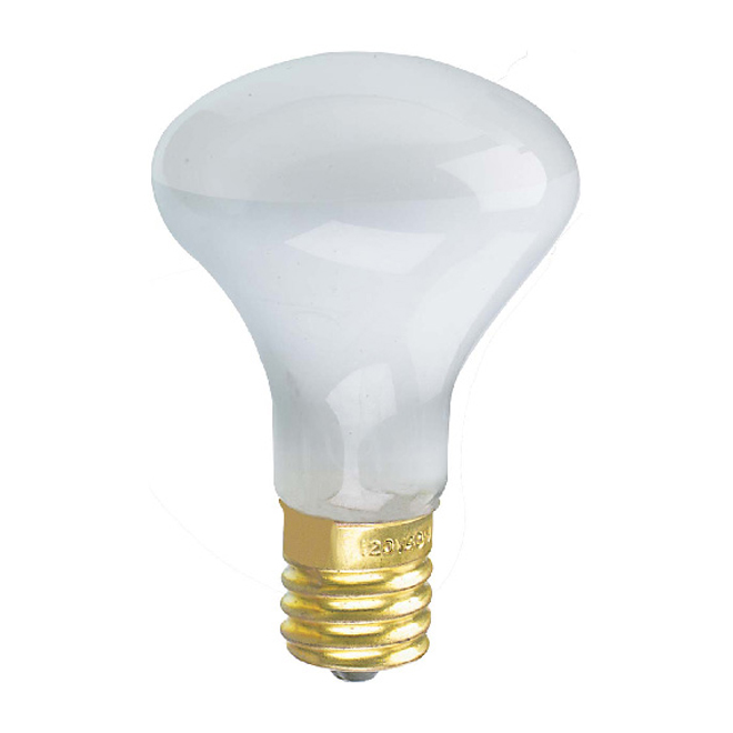 40-W Incandescent bulb