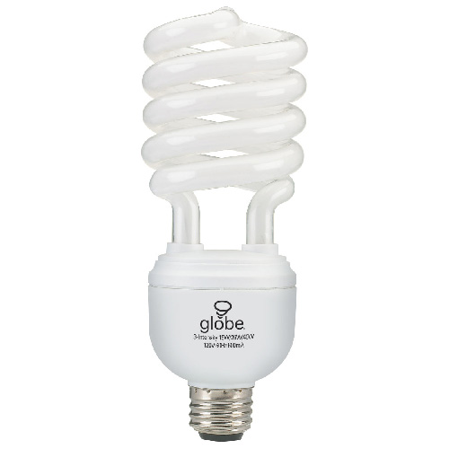 Compact Fluorescent Bulb
