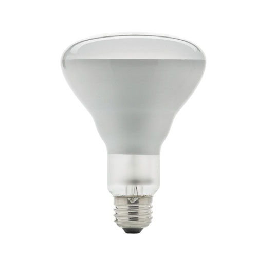 43-W BR30 Halogen Flood Lightbulb