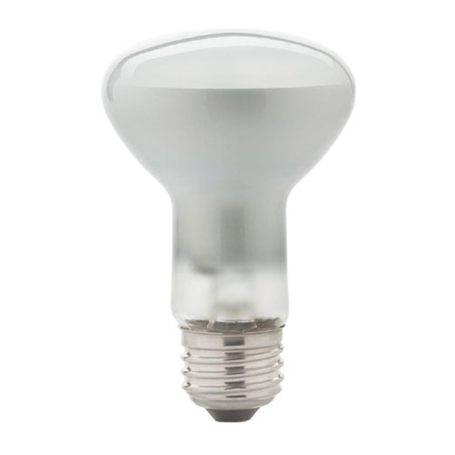 29-W halogen bulb