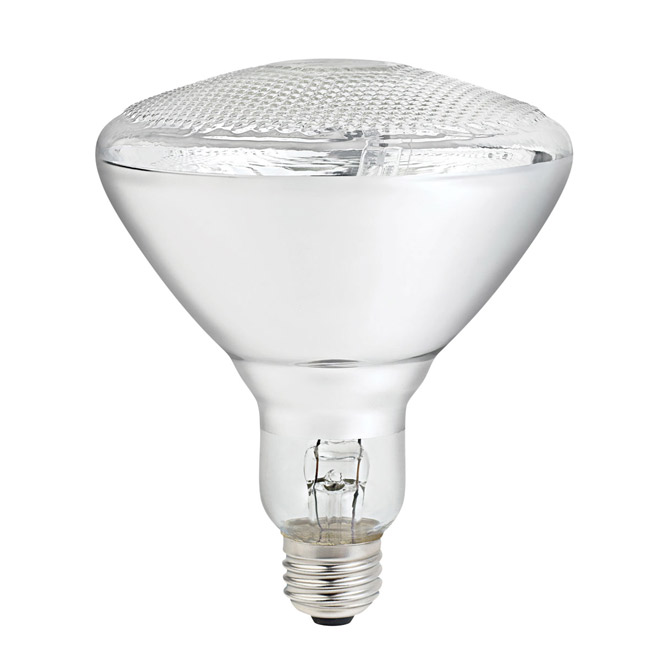65-W halogen bulb