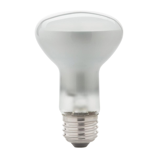 Incandescent Bulb