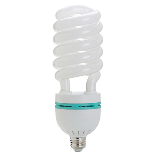 CFL Bulb