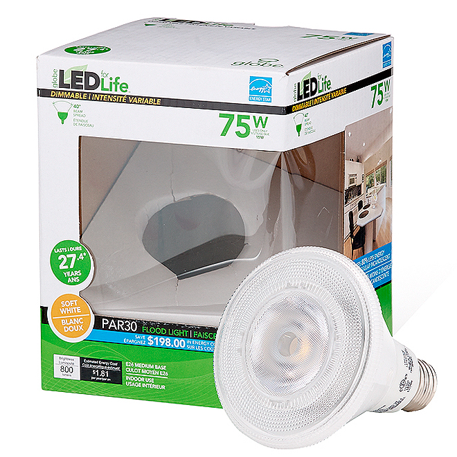 15W LED Bulb