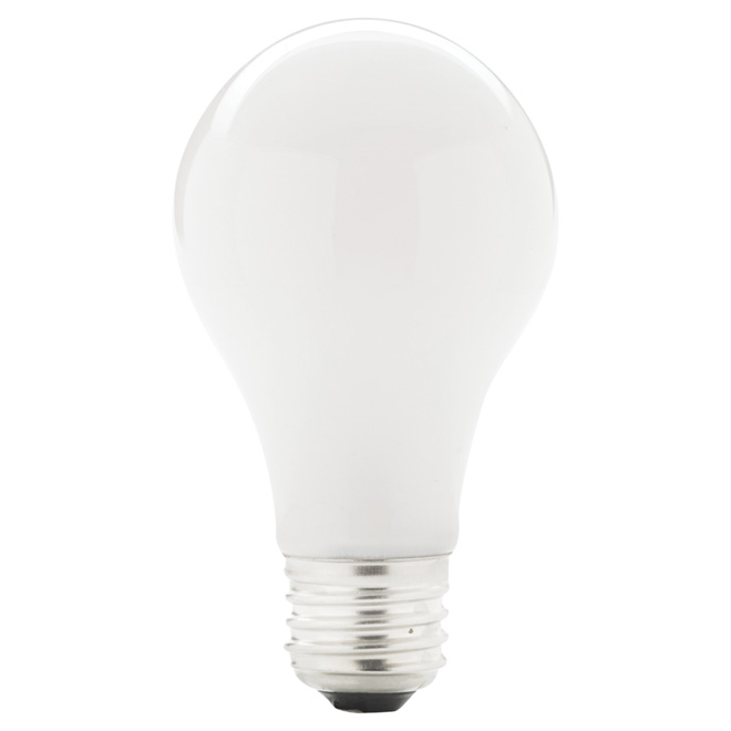 Paquet de 4 ampoules halogènes blanc doux A19 de 43 W