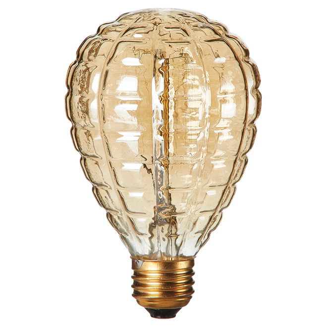 Ampoule incandescente 40 W de style rétro, 120 V