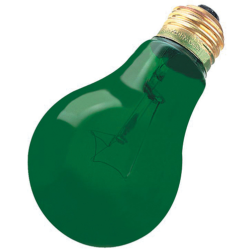 A19 Domestic Light Bulb