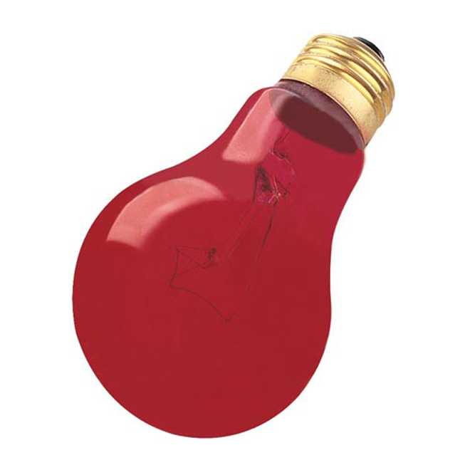 A19 domestic light bulb