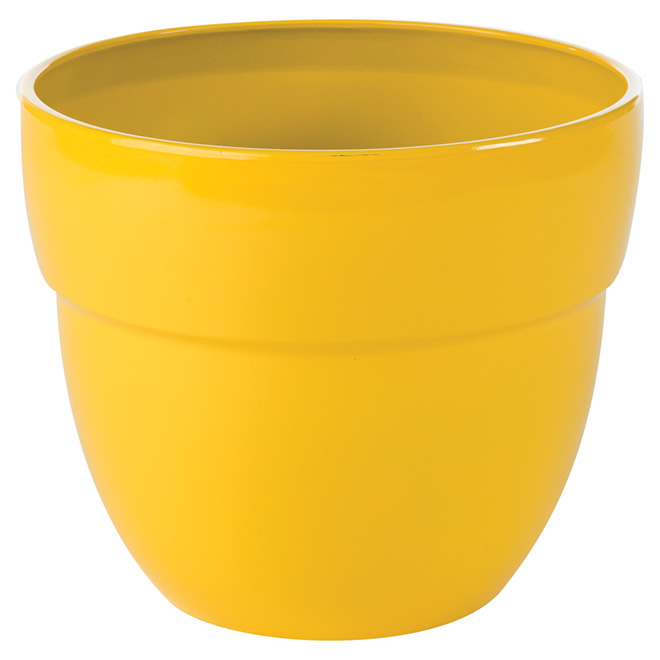 Pot «Augustine» Mimosa