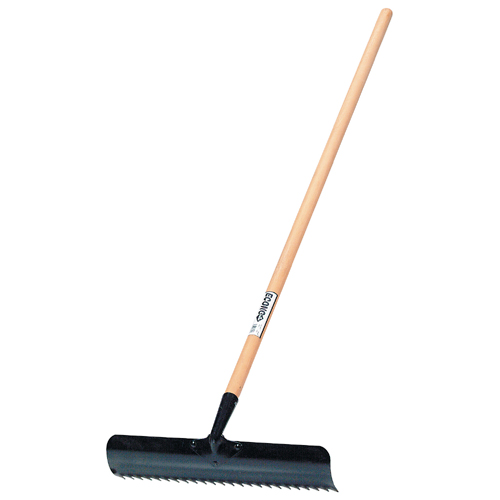 Dandelion and Thatching Rake