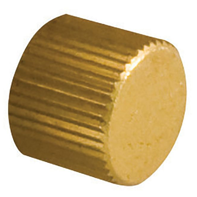 Brass Drain Valve Cap