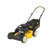 Self-Propelled Gas Lawn Mower - 173 CC - 21
