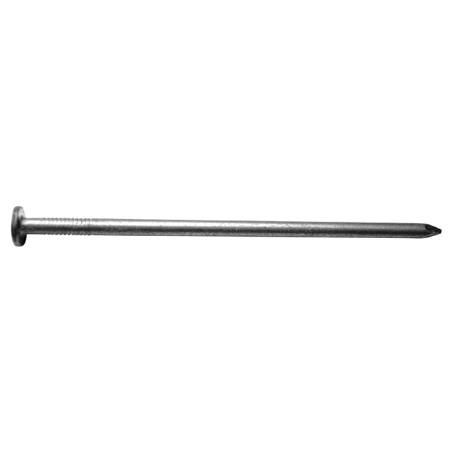 Galvanized Steel Nails - 3 1/2" - 50 lb