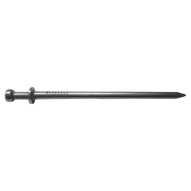 Clous à 2 têtes brillant, 3 1/4", 50 lb