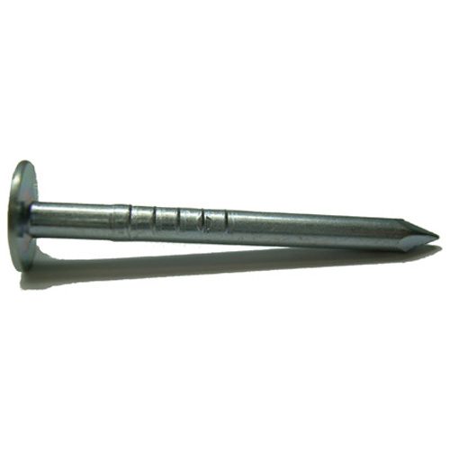 Clous à toiture, galvanisé, 2", Bte/250