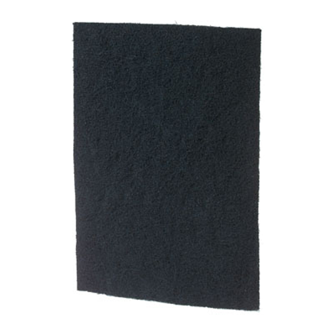 Filtre au charbon