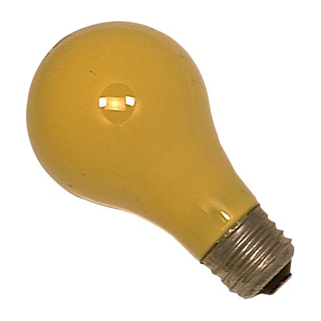 Ampoule insectifuge A19