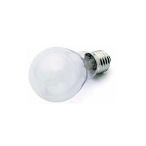 DOMESTIC BULB
