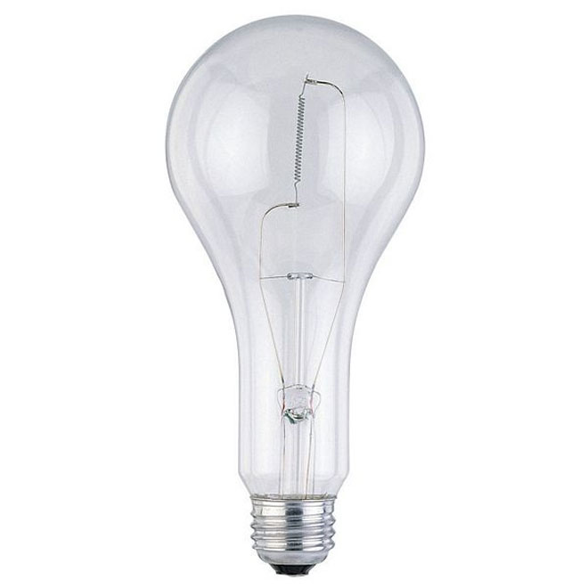 AMPOULE DOMESTIQUE