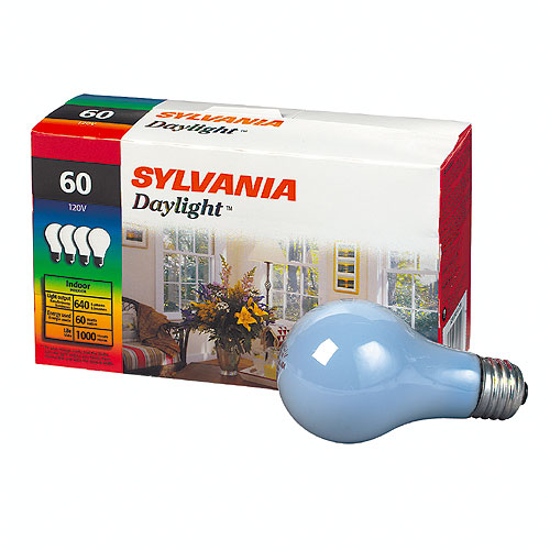 60-W Incandescent Lightbulb
