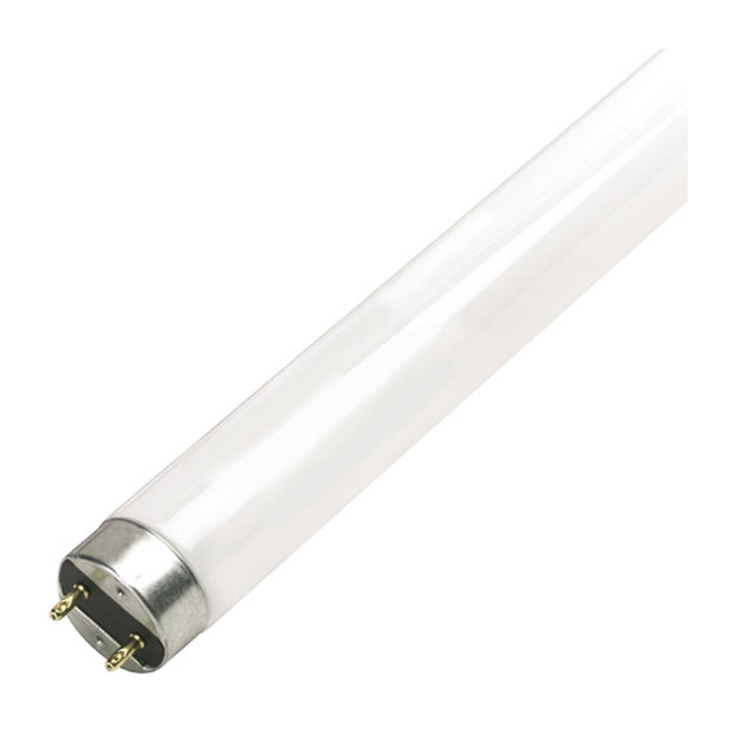 FLUORESCENT LINÉAIRE