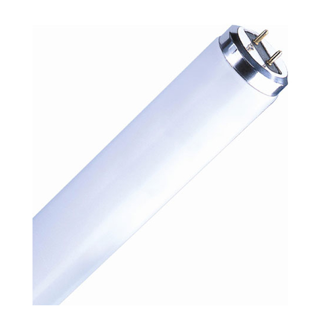 LINEAR FLUORESCENT